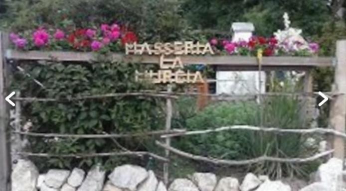 Wildcamp Resort Masseria La Murgia Unterkunft In Einem Wohnwagen Rimbach  Εξωτερικό φωτογραφία